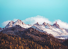 华体会全站app下载—一站式体育娱乐新体验